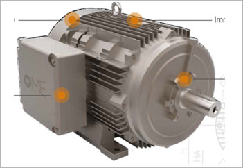 OMN Series NEMA Motor