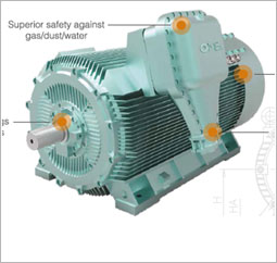 High Voltage Electric Motor