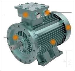 Low Voltage Electric Motor