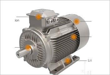 Standard Electric Motor